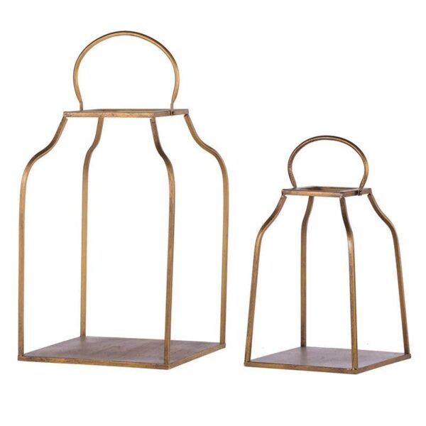 The Light Garden Collection - Small